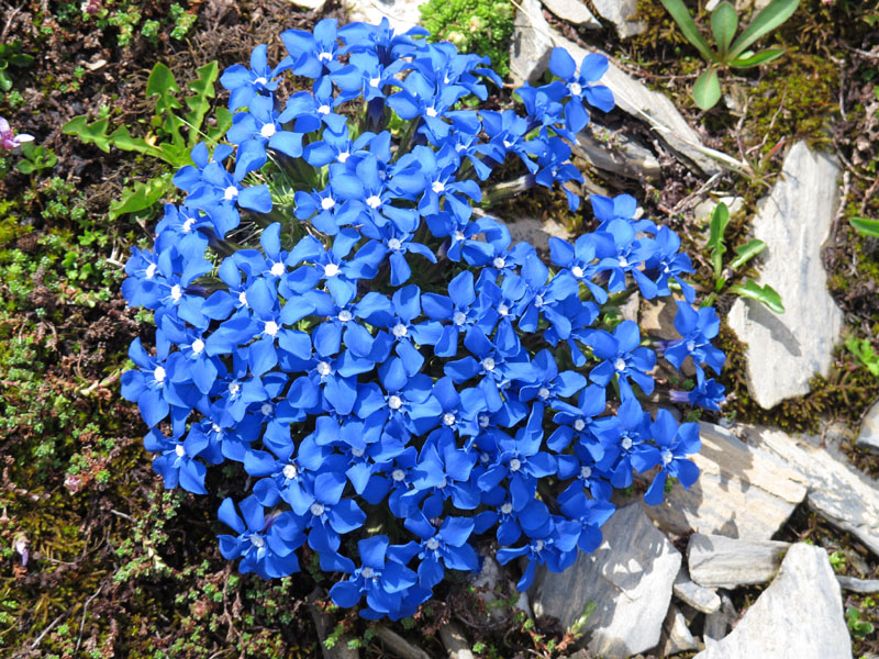 Piz Blaisun 2012_107