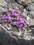 Piz Blaisun 2012_072