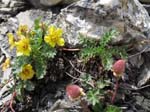 Piz Blaisun 2012_103