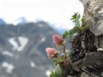 Piz Blaisun 2012_105