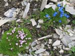 Piz Blaisun 2012_111
