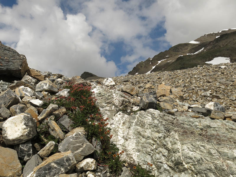 PizBlaisun_13_63