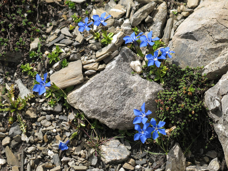PizBlaisun_13_67