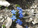 PizBlaisun_13_68