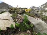 PizBlaisun_13_71