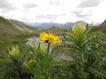 PizBlaisun_13_72
