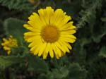 PizBlaisun_13_78