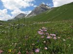 PizBlaisun_13_96