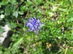 PizBlaisun_13_97
