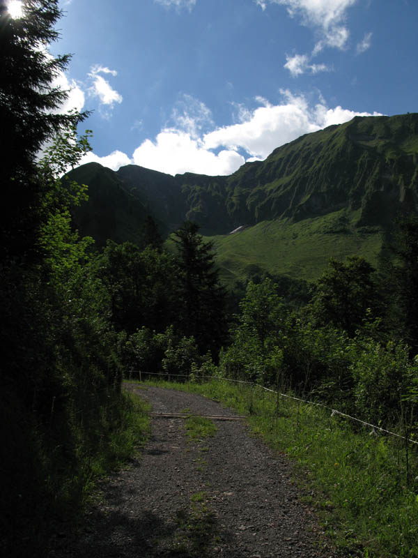 Fluebrig_05