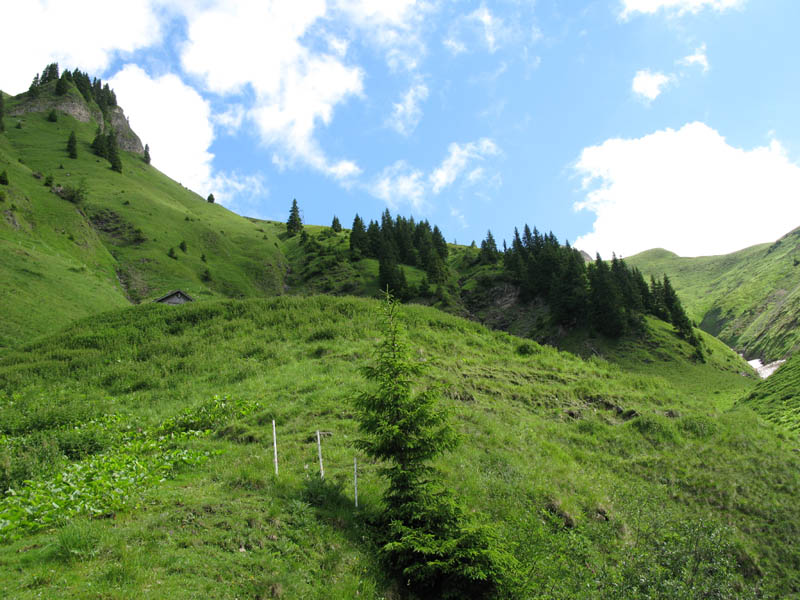 Fluebrig_10
