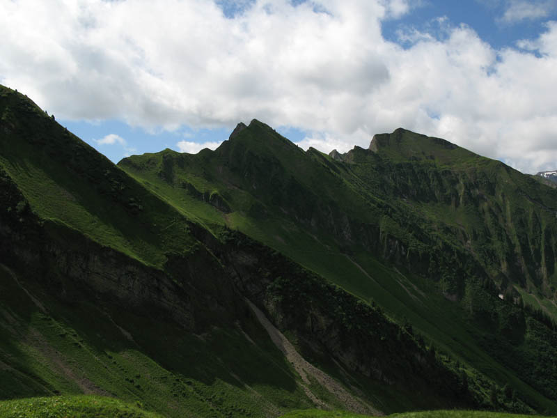 Fluebrig_14