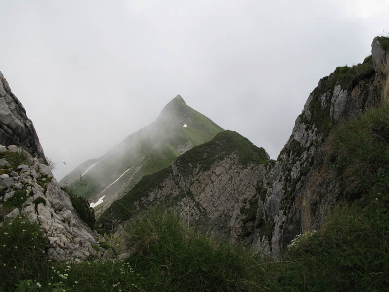 Fluebrig_33