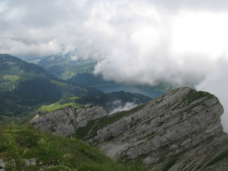 Fluebrig_39
