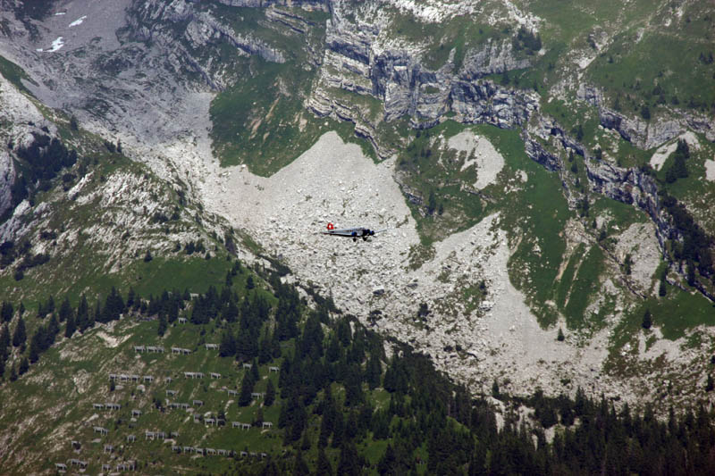 Fluebrig_45