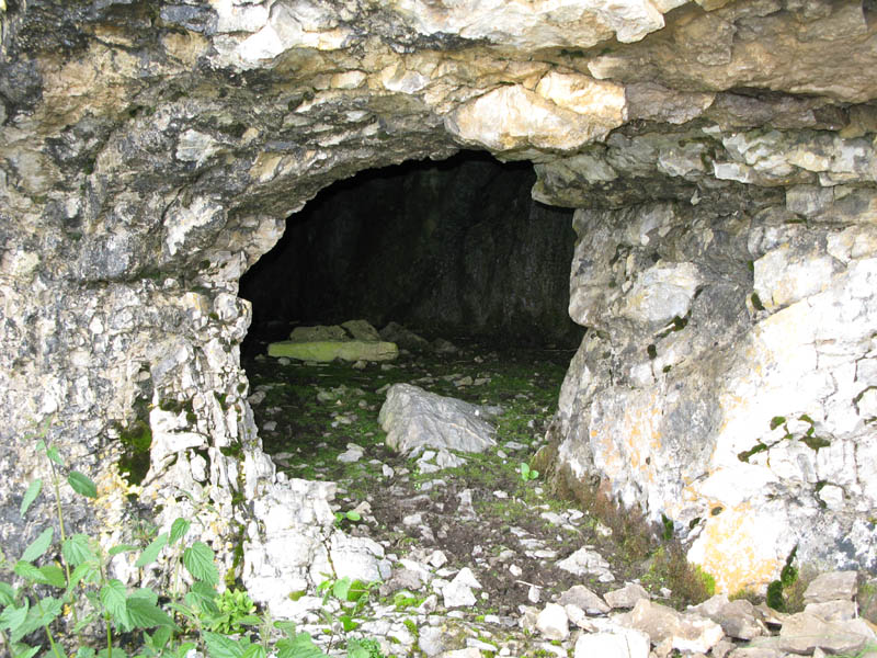 Fluebrig_51