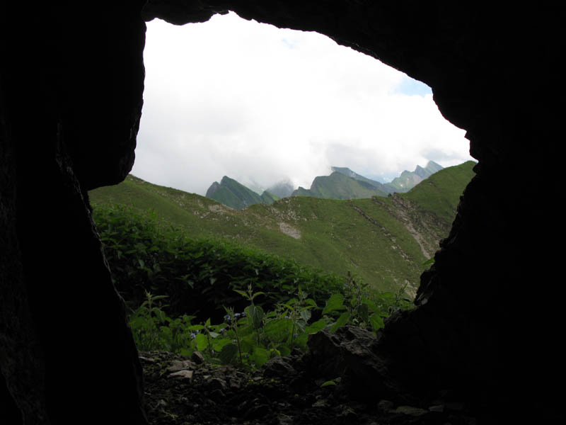 Fluebrig_54
