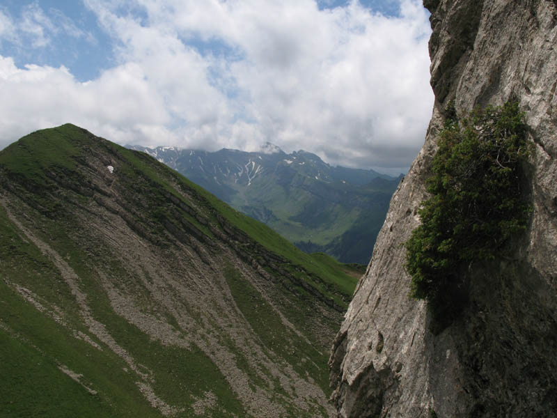 Fluebrig_55