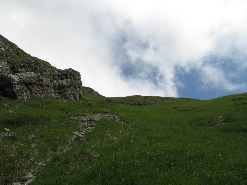 Fluebrig_58