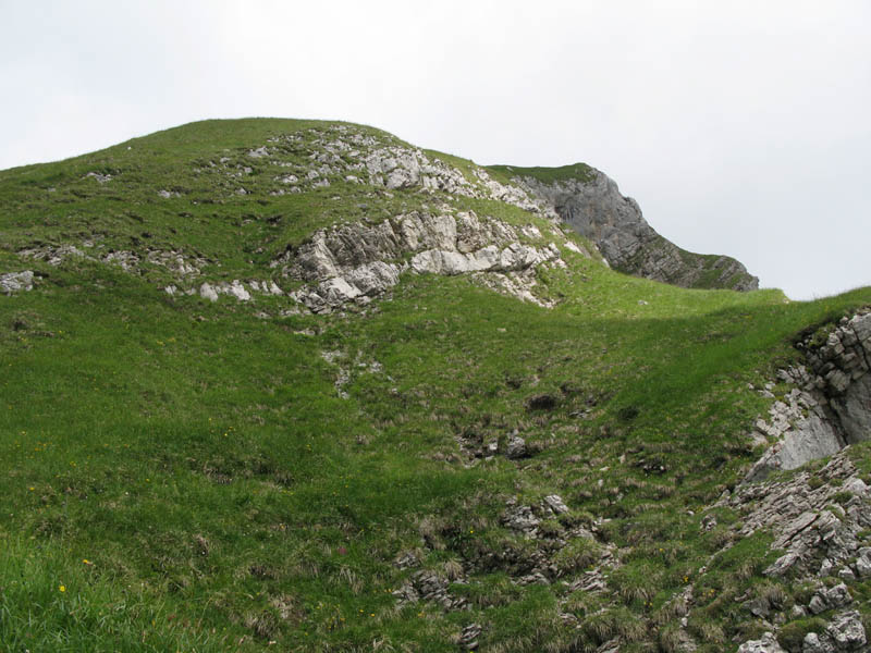 Fluebrig_60