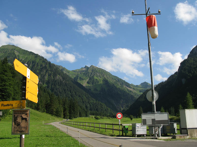 Fluebrig_75