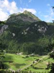 Fluebrig_01