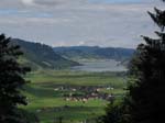 Fluebrig_02