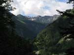 Fluebrig_03