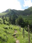 Fluebrig_07