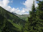 Fluebrig_12