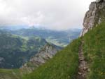 Fluebrig_28