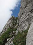 Fluebrig_29
