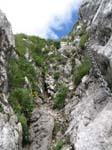 Fluebrig_30