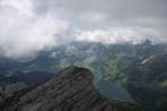 Fluebrig_37