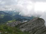 Fluebrig_39