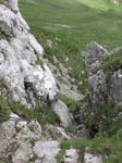 Fluebrig_49