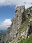 Fluebrig_56