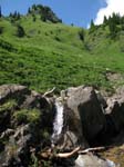 Fluebrig_72