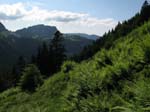 Fluebrig_74