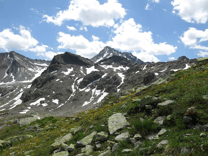 FlueelaWisshorn_13_74