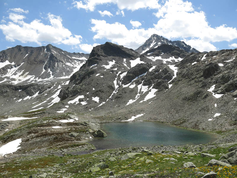FlueelaWisshorn_13_75