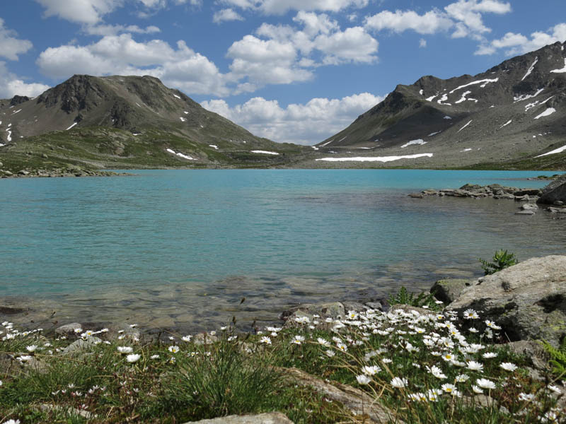 FlueelaWisshorn_13_83