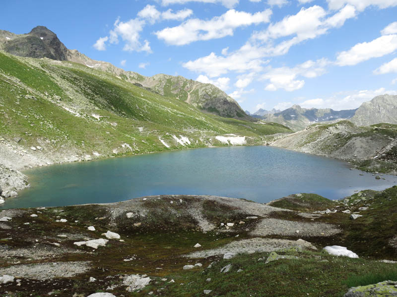 FlueelaWisshorn_13_85