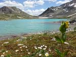 FlueelaWisshorn_13_84