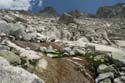 Furkahorn06 _113