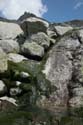 Furkahorn06 _114