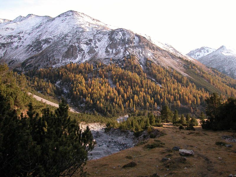 Lischana107