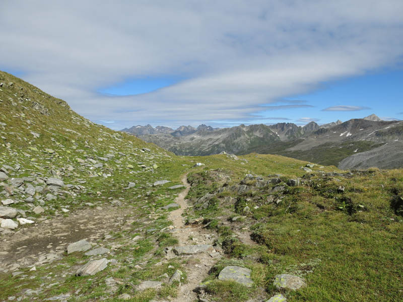 Muttenhoerner 2013 (88)