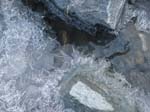 Muttenhoerner 2013 (6)