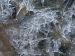 Muttenhoerner 2013 (7)